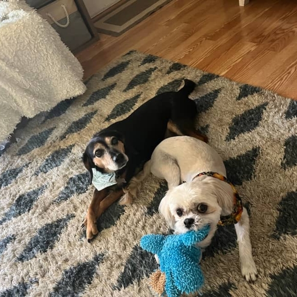 Meet your Posher, Jennifer - Picture 1 of 1